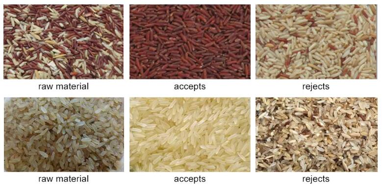rice color sorter