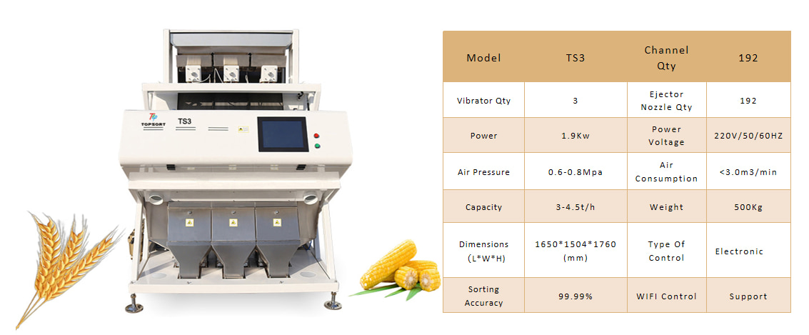color sorting technology color sorting technology