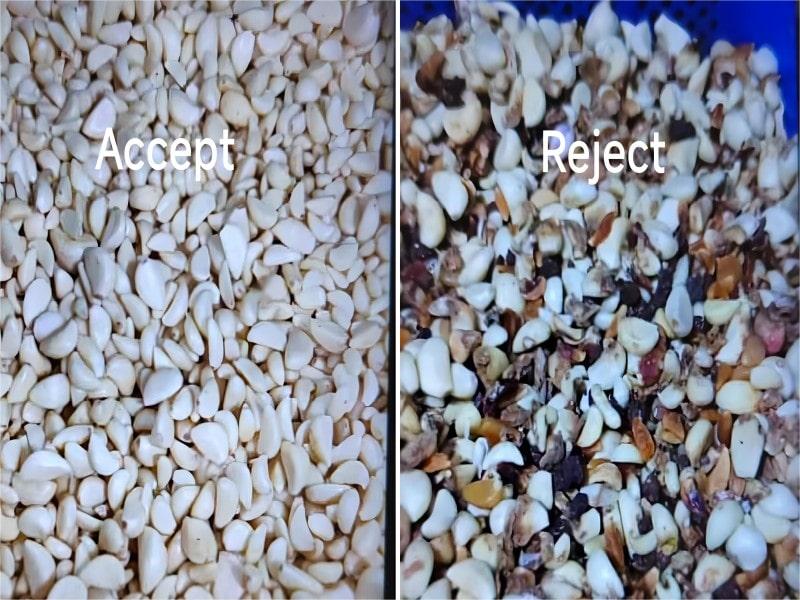 garlic color sorting machine garlic color sorting machine