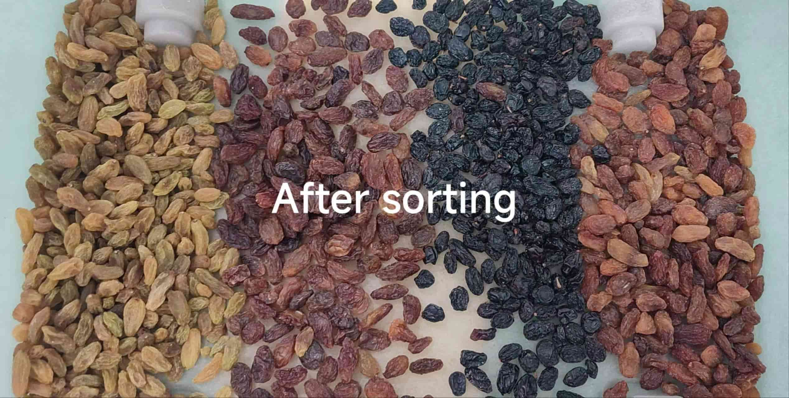 raisin colour sorting machine 