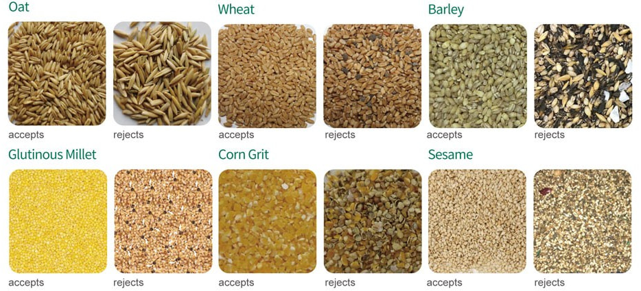 colour sorter for grain