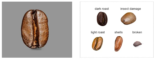 roasted coffee sorter