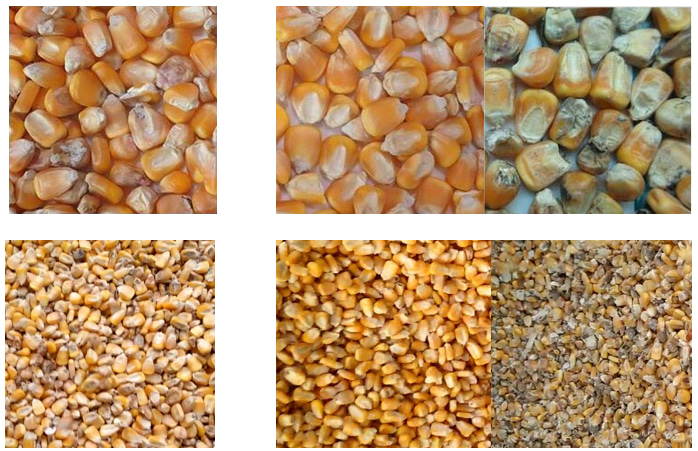 corn color sorter corn color sorter