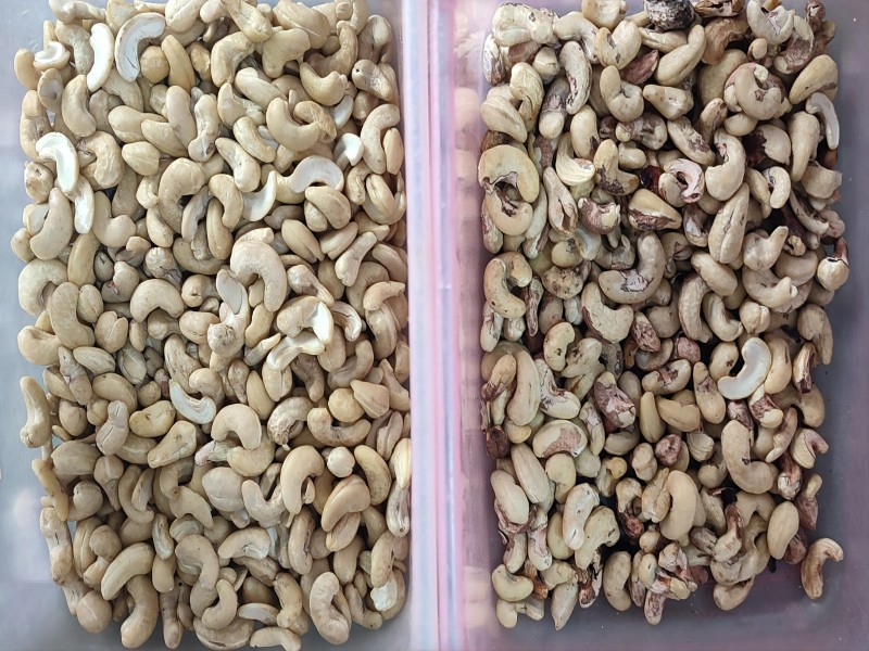 cashew color sorter