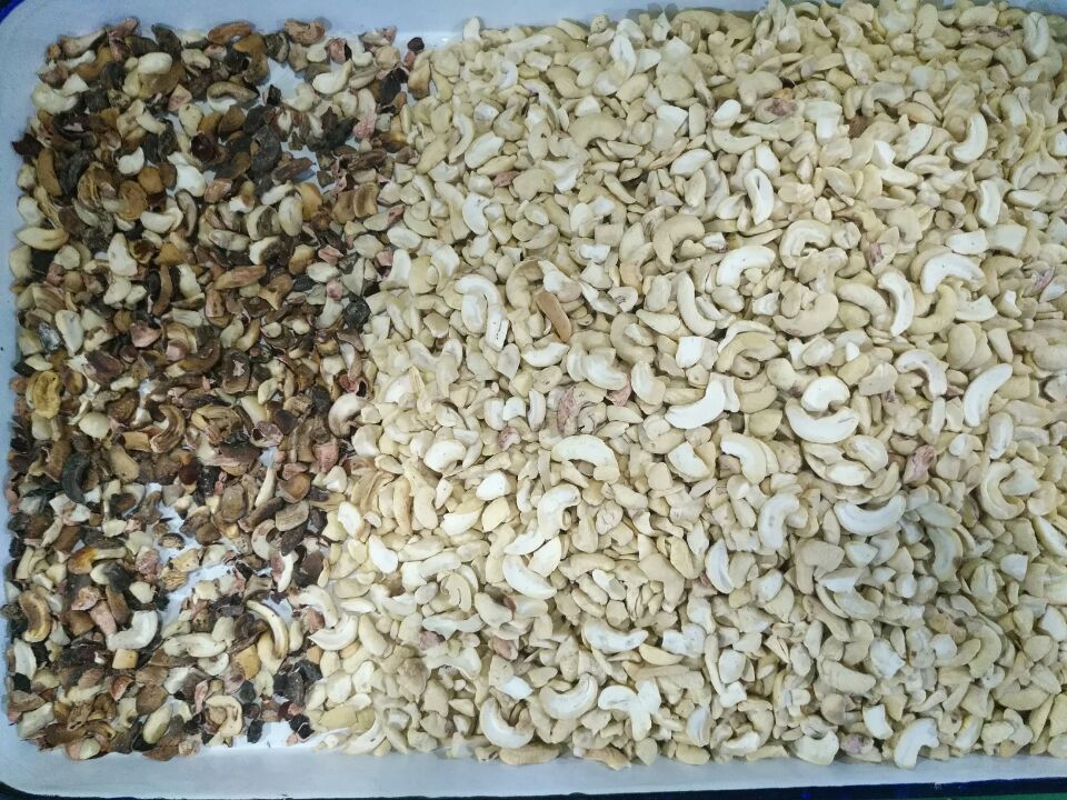 cashew nut color sorter cashew nut color sorter