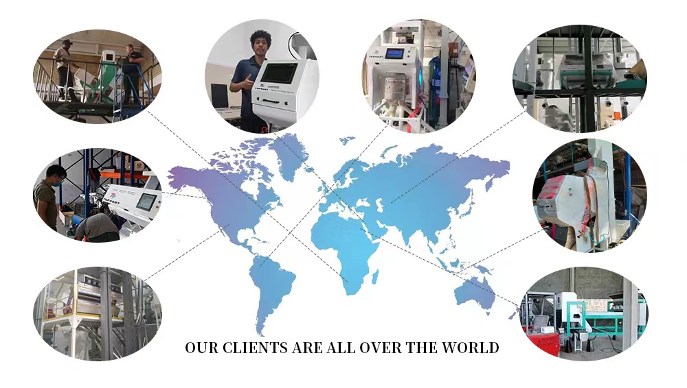 color sorting machine price color sorting machine price