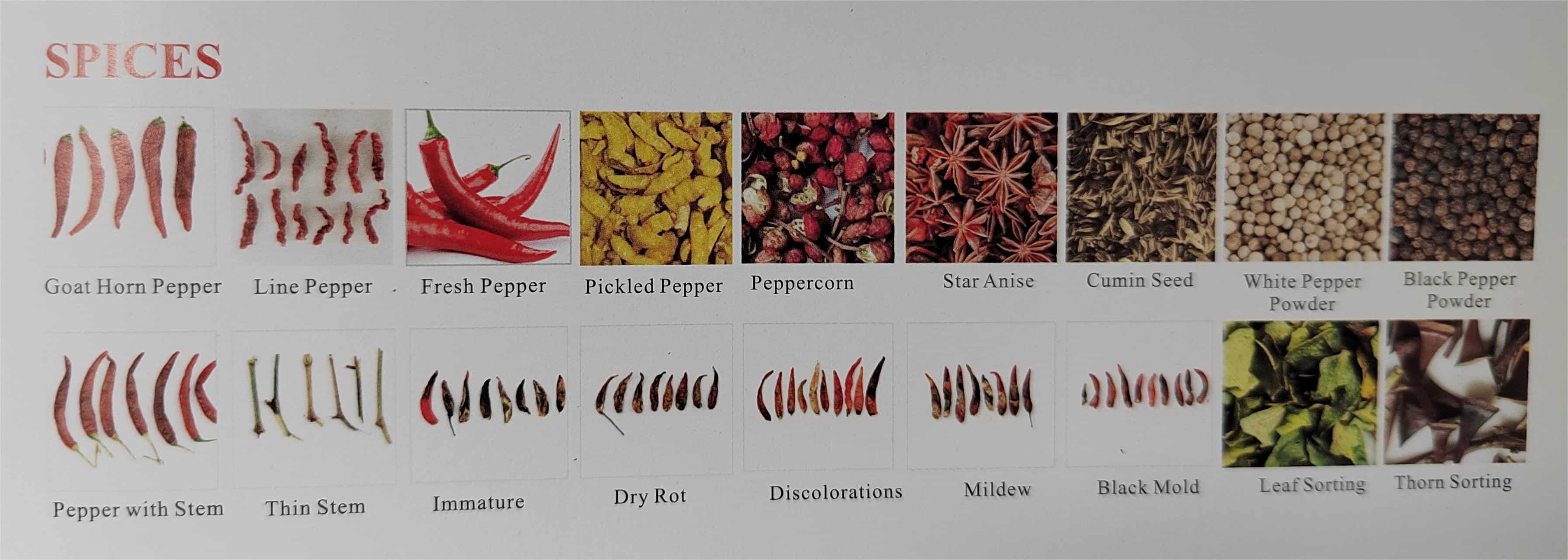 spice color sorter spice color sorter