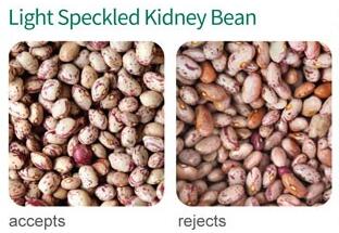 soybean color sorter