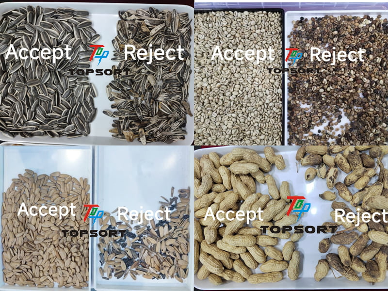 color sorter machine application color sorter machine application