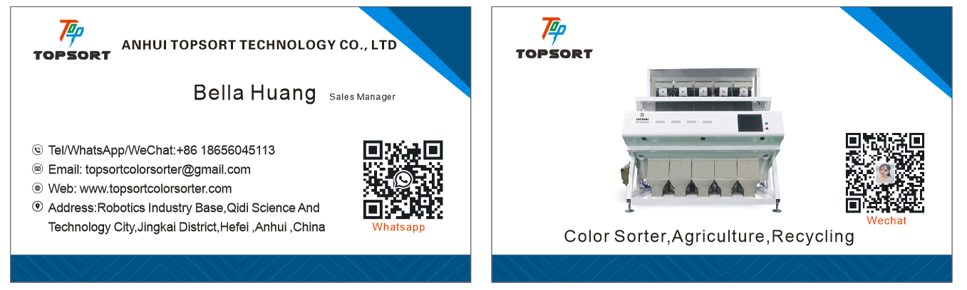 color sorter manufacturer