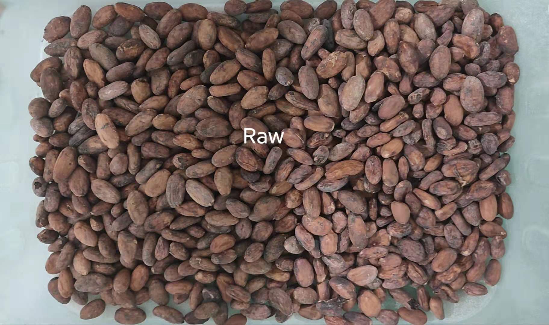 cocoa bean color sorter cocoa bean color sorter