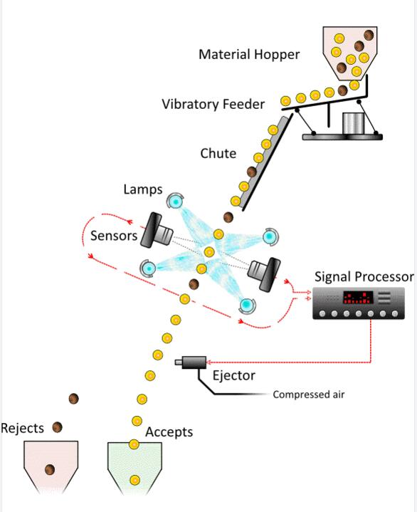 color sorting machine