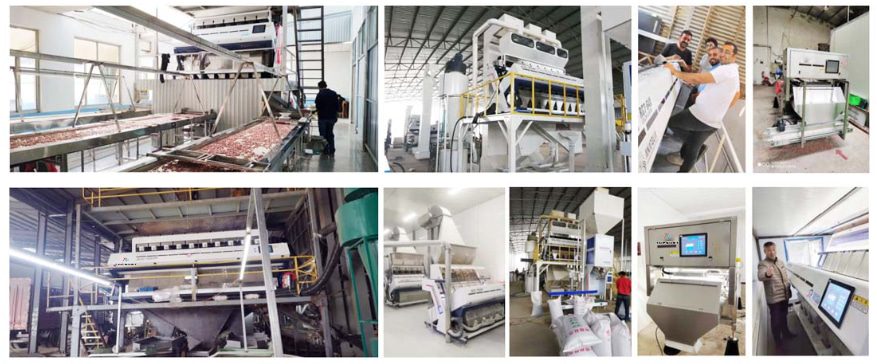 color sorter market color sorter market