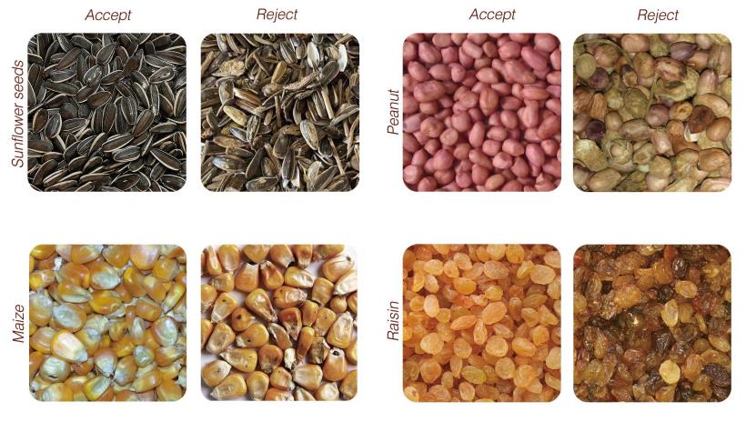 color sorter market color sorter market