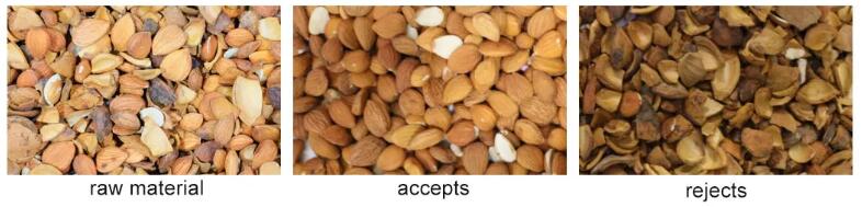 almond sorting machine