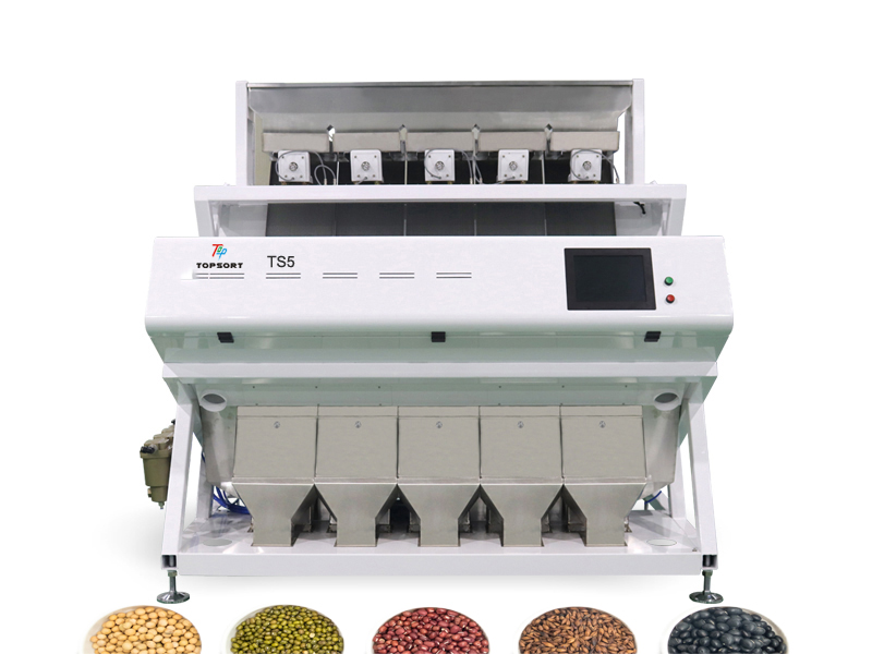 vision color sorter vision color sorter