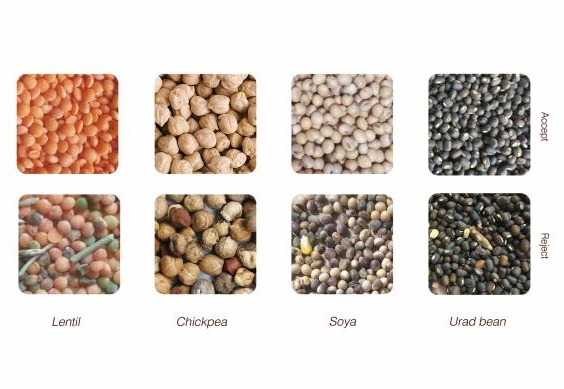 color sorter technology color sorter technology
