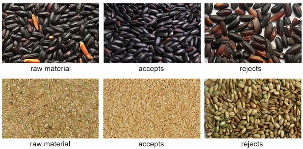 rice color sorting machine rice color sorting machine