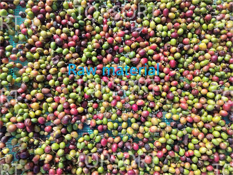 color sorter coffee color sorter coffee