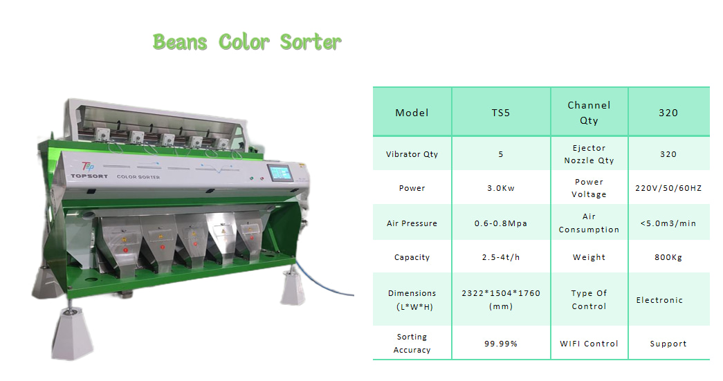 color sorter technology color sorter technology