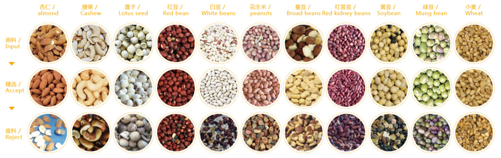color sorter application color sorter application