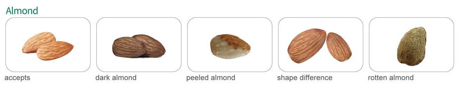 Almond color sorter Almond color sorter