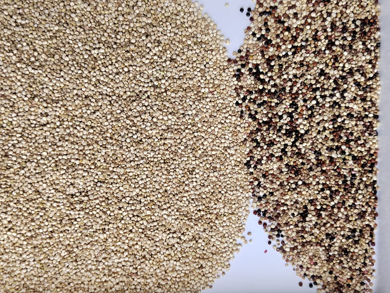 grain color sorter grain color sorter