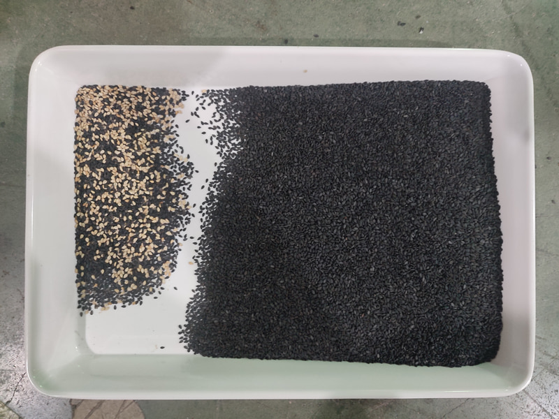 basil seed color sorter basil seed color sorter
