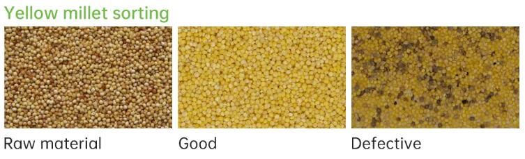 millet color sorter millet color sorter