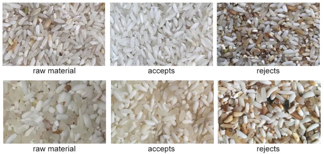rice sorter