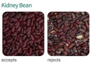 kidney bean color separator
