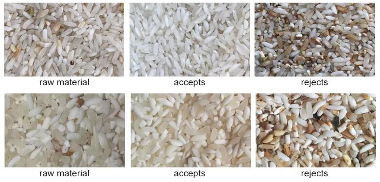 rice color sorting machine