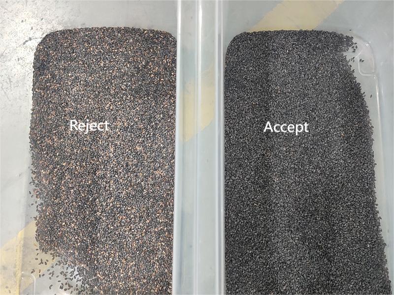 sesame color sorter