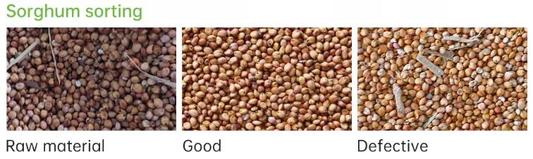 sorghum color sorter sorghum color sorter