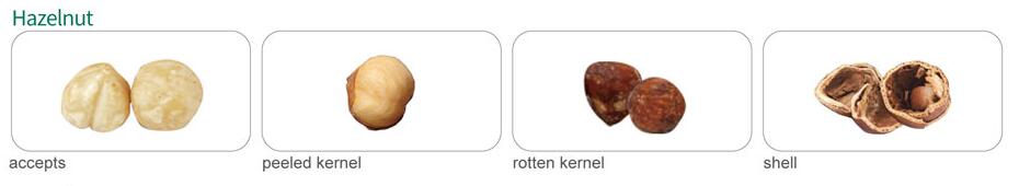 Hazelnut color sorter Hazelnut color sorter