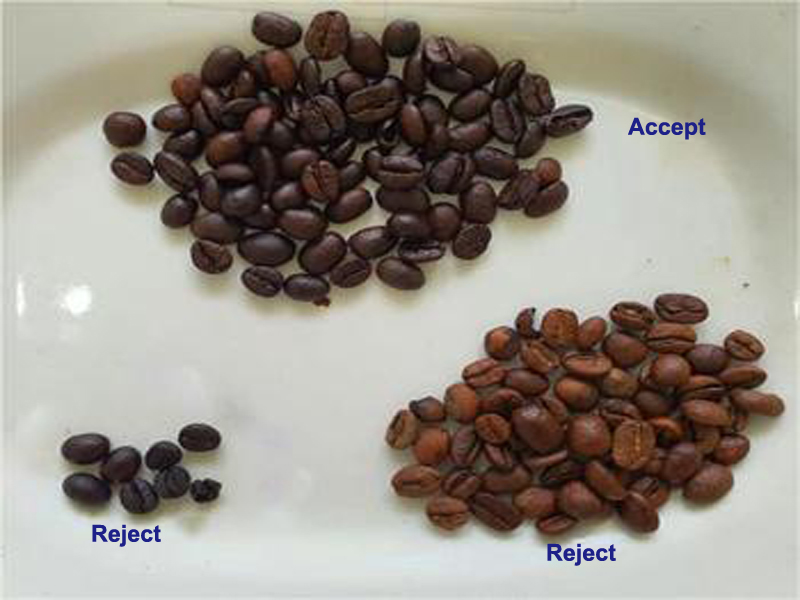 coffee bean color sorting machine for sale coffee bean color sorting machine for sale