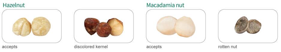 hazelnut colour sorter hazelnut colour sorter