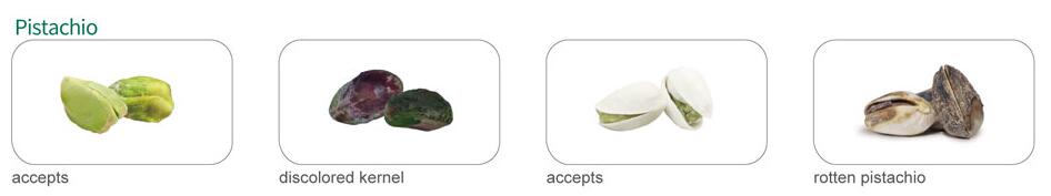 pistachio color sorter pistachio color sorter