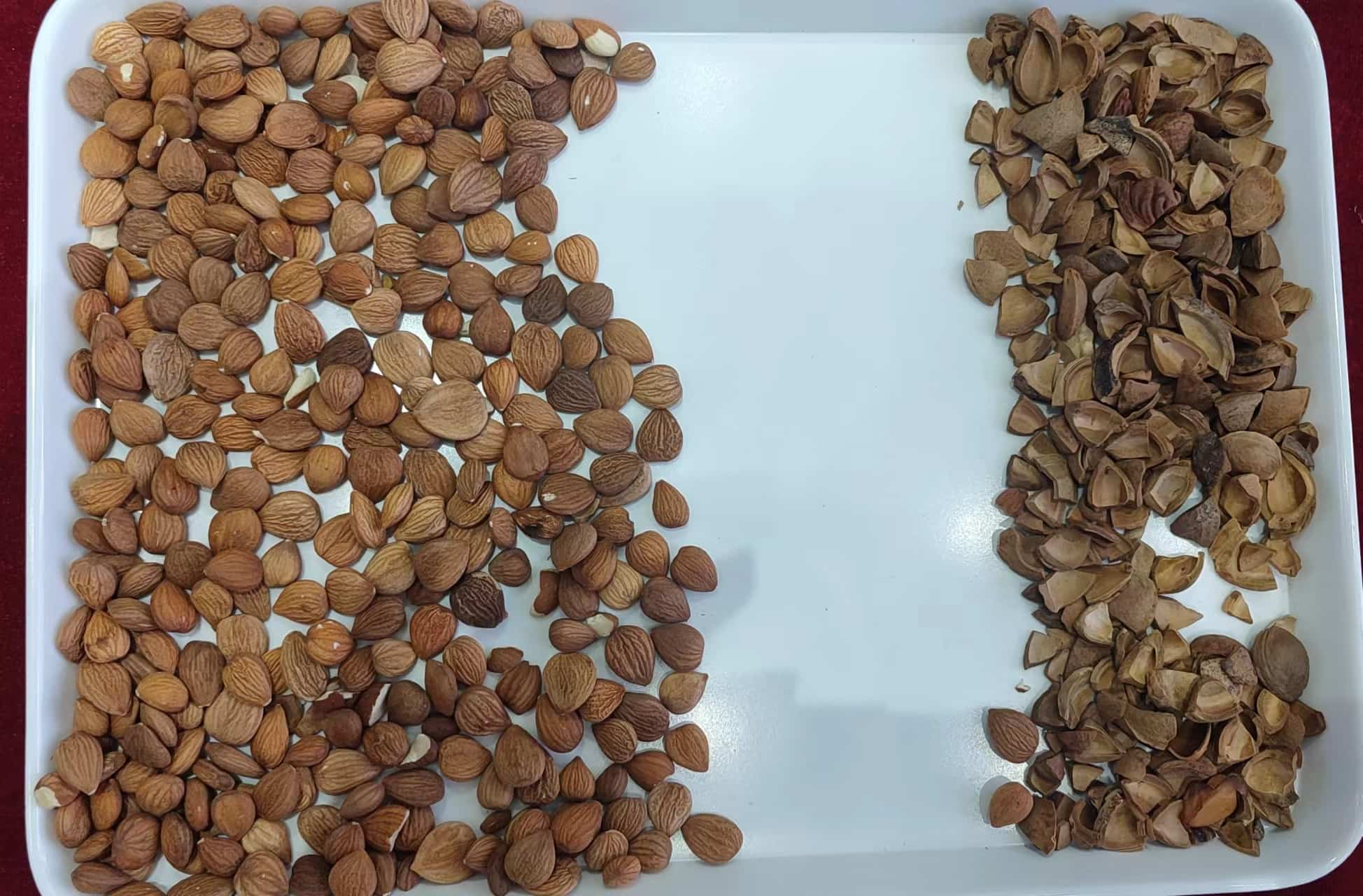 almond color separator