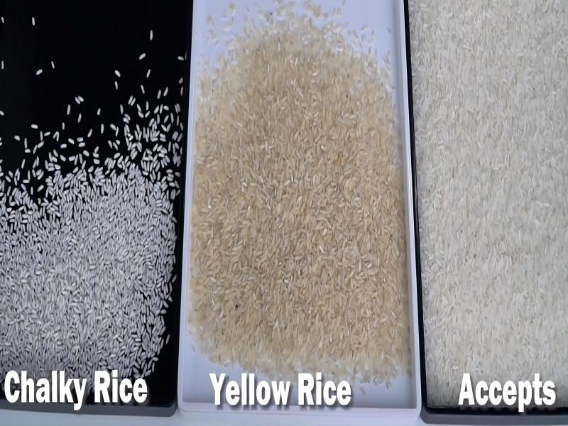 colour sorter machine for rice