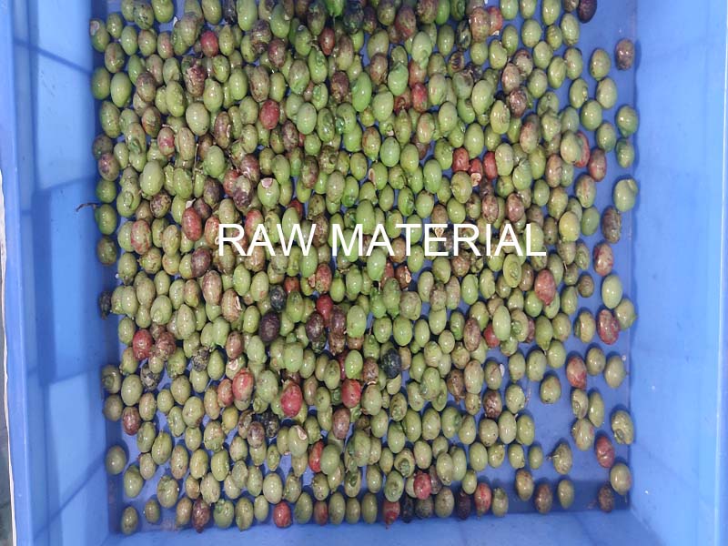 berry color sorter berry color sorter