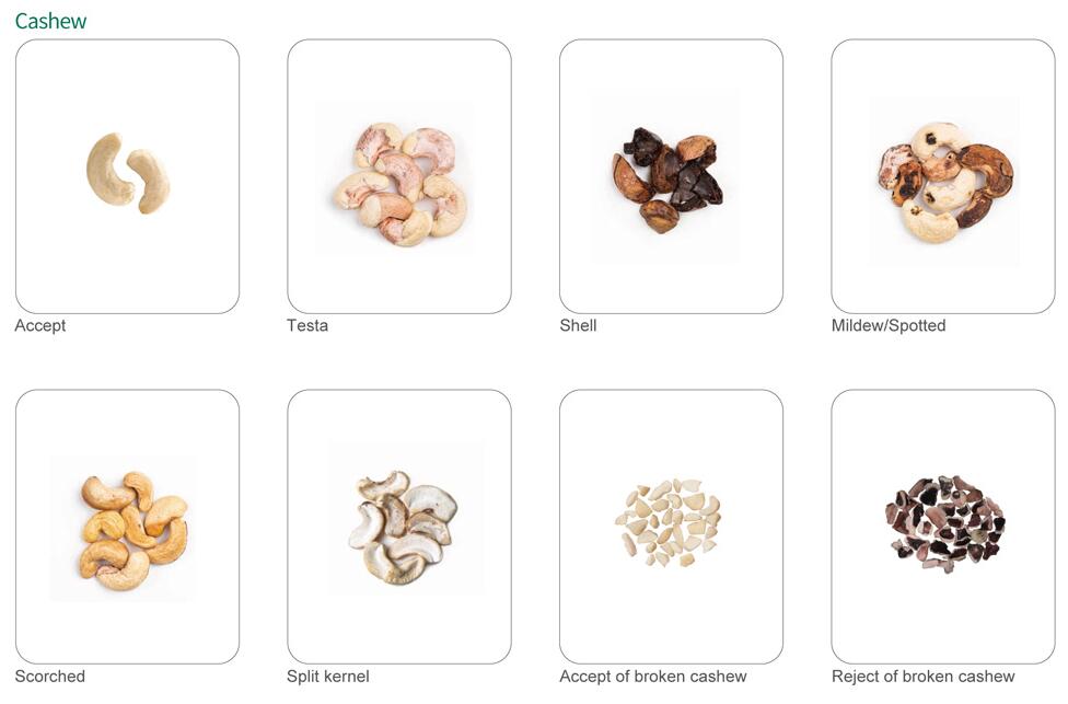 cashew colour sorting machine 