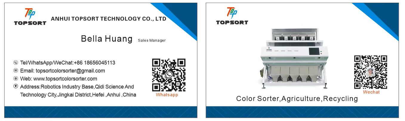 color sorter factory color sorter factory