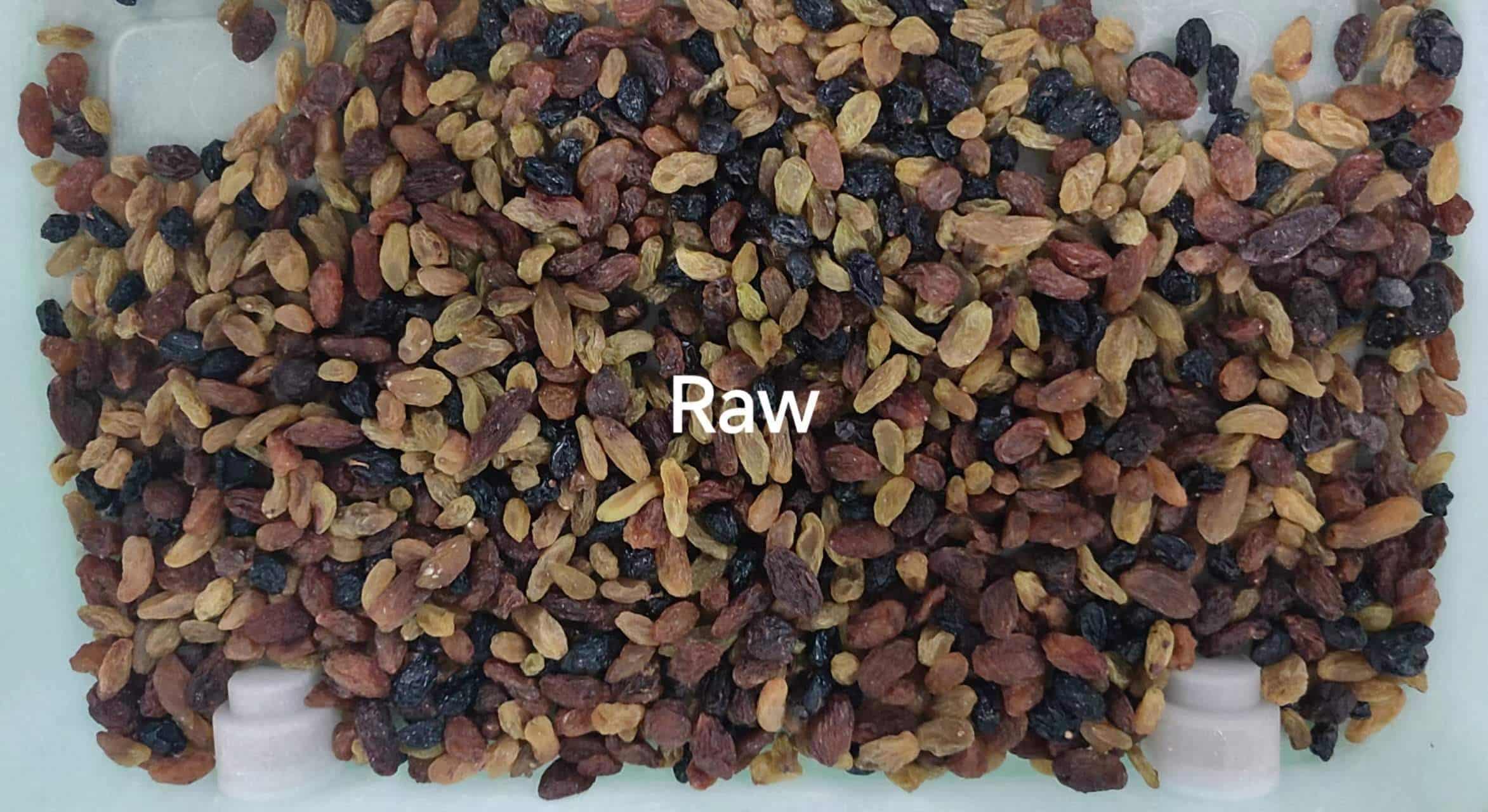 raisin color sorter