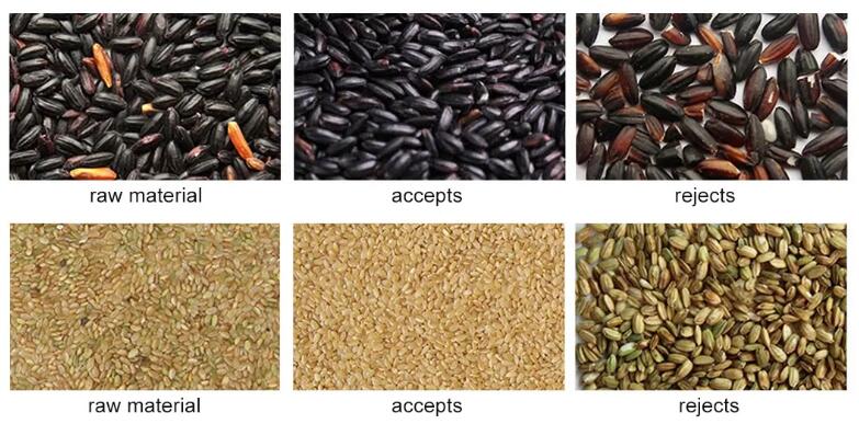 rice colour sorting machine rice colour sorting machine