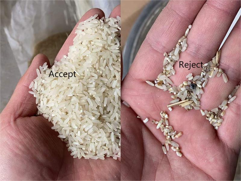 rice colour sorter machine 