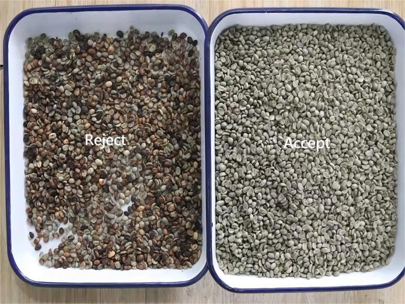 coffee bean sorter coffee bean sorter