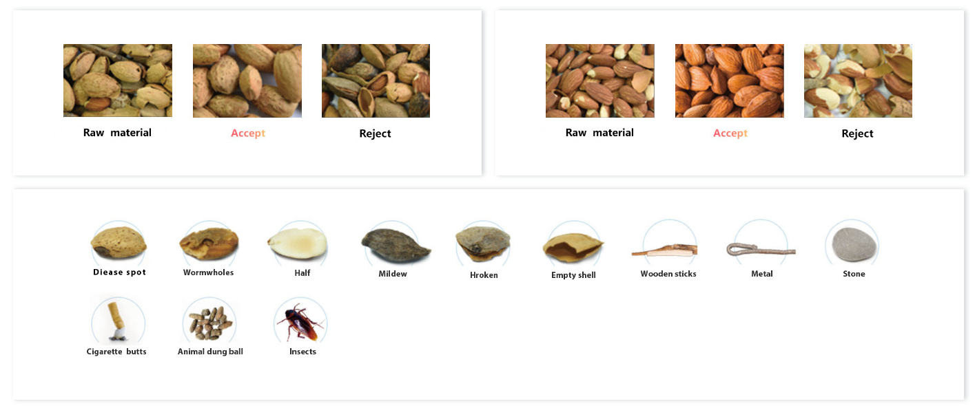 Almond color sorting solution Almond color sorting solution