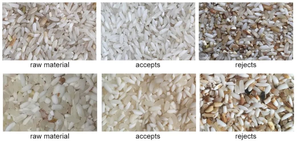 rice color sorting machine rice color sorting machine
