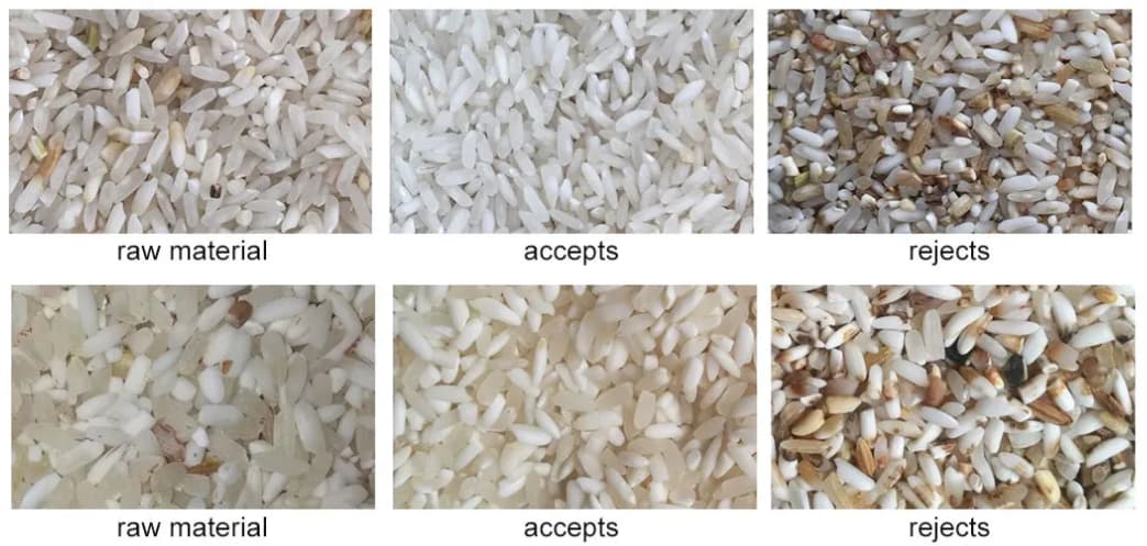 rice color sorting machine 